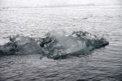 10C Black Ice In The Water At Neko Harbour From Zodiac On Quark Expeditions Antarctica Cruise.jpg